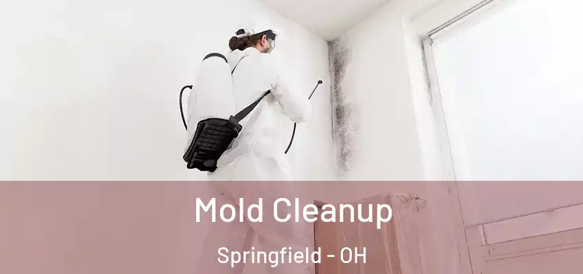  Mold Cleanup Springfield - OH