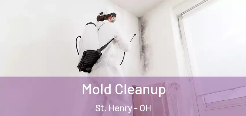  Mold Cleanup St. Henry - OH