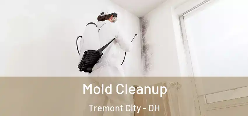  Mold Cleanup Tremont City - OH