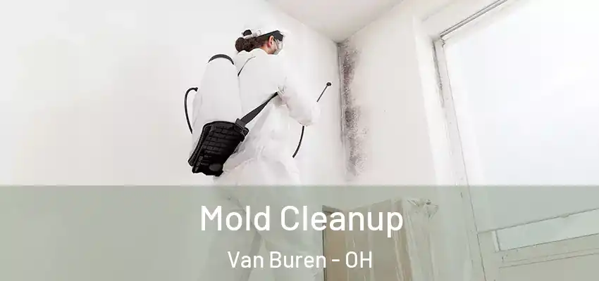  Mold Cleanup Van Buren - OH
