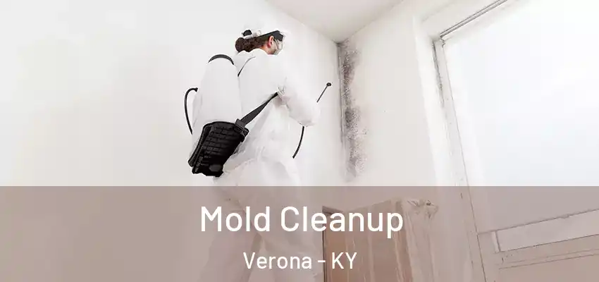 Mold Cleanup Verona - KY