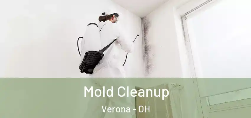 Mold Cleanup Verona - OH