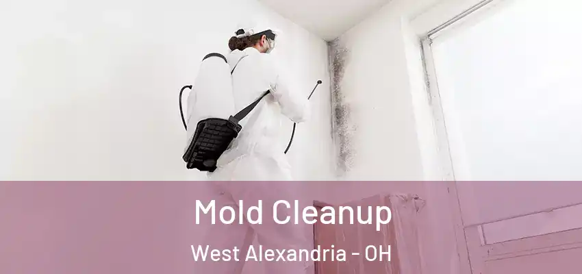  Mold Cleanup West Alexandria - OH