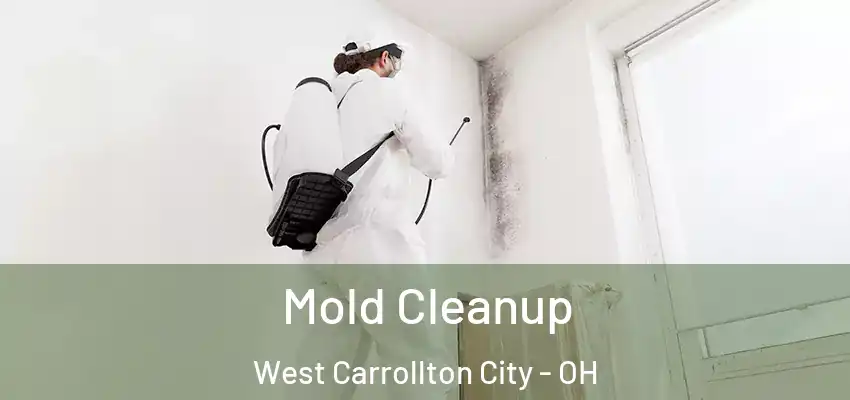 Mold Cleanup West Carrollton City - OH