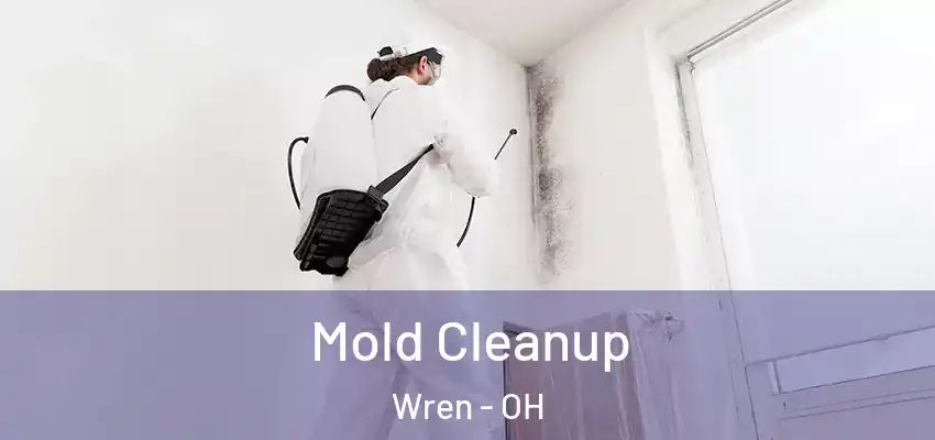  Mold Cleanup Wren - OH