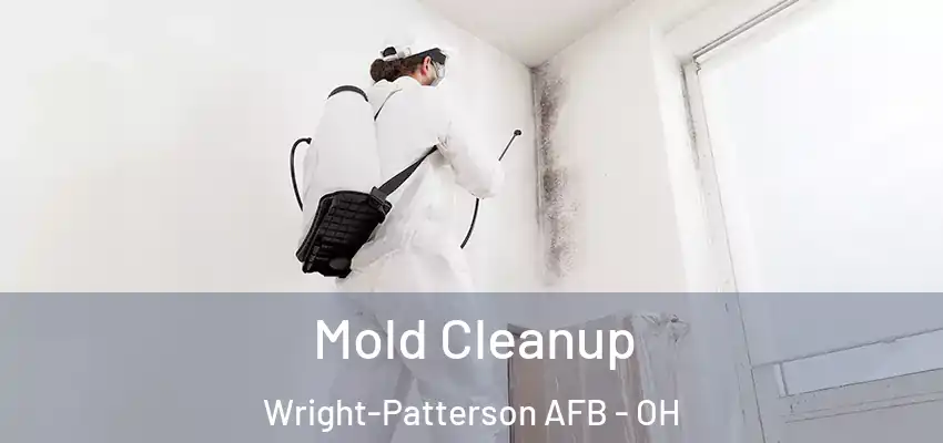  Mold Cleanup Wright-Patterson AFB - OH