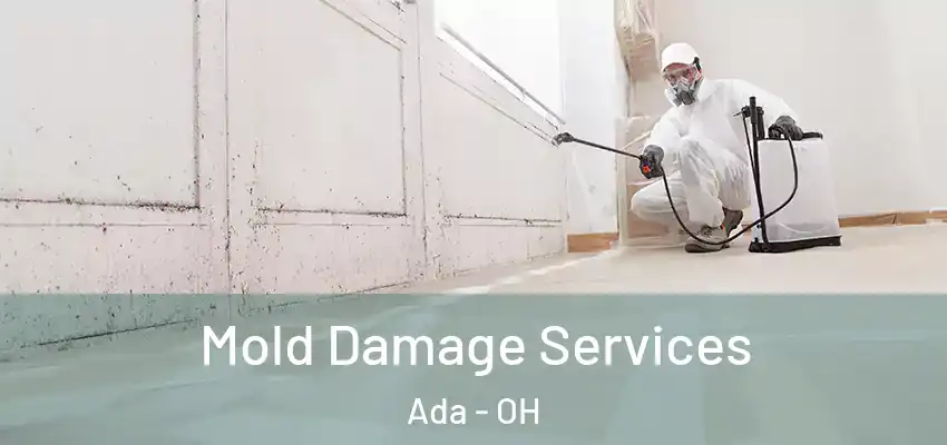  Mold Damage Services Ada - OH