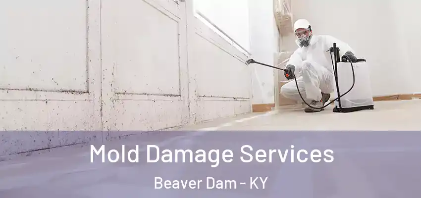  Mold Damage Services Beaver Dam - KY