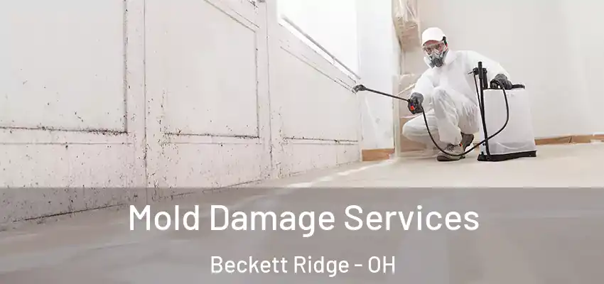 Mold Damage Services Beckett Ridge - OH