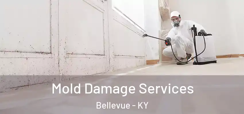  Mold Damage Services Bellevue - KY