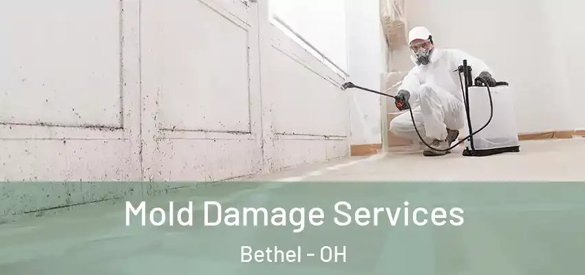  Mold Damage Services Bethel - OH