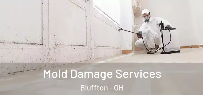  Mold Damage Services Bluffton - OH