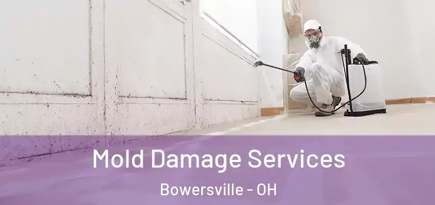  Mold Damage Services Bowersville - OH