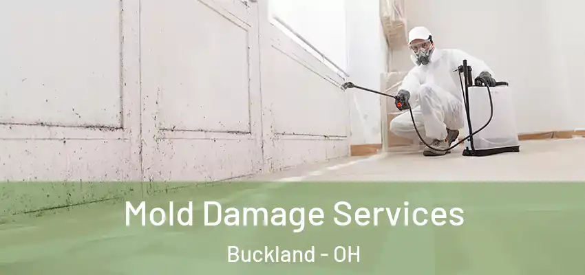  Mold Damage Services Buckland - OH