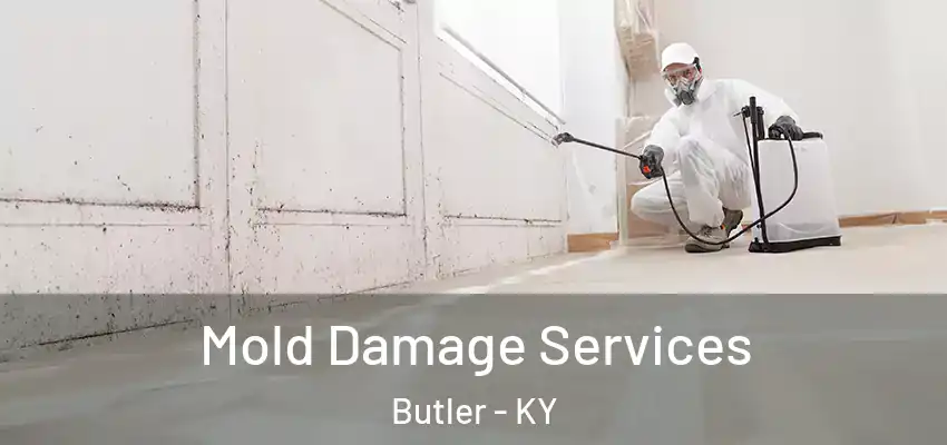  Mold Damage Services Butler - KY