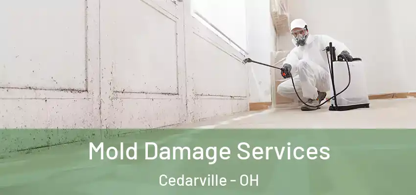  Mold Damage Services Cedarville - OH