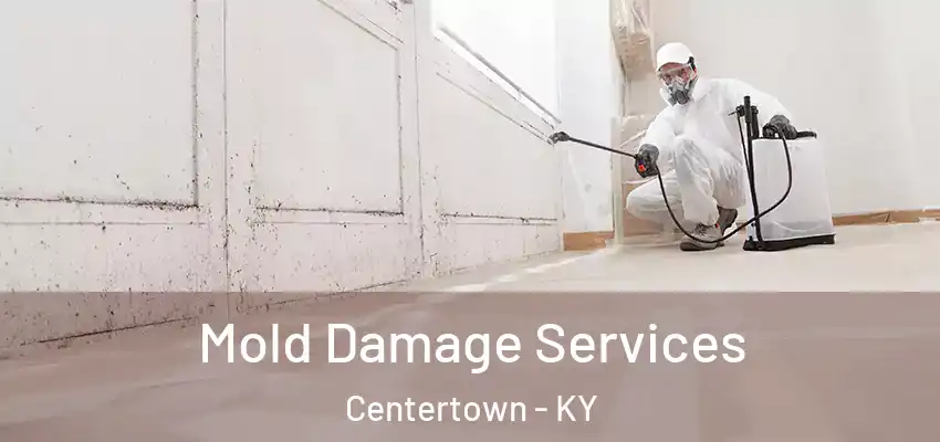  Mold Damage Services Centertown - KY