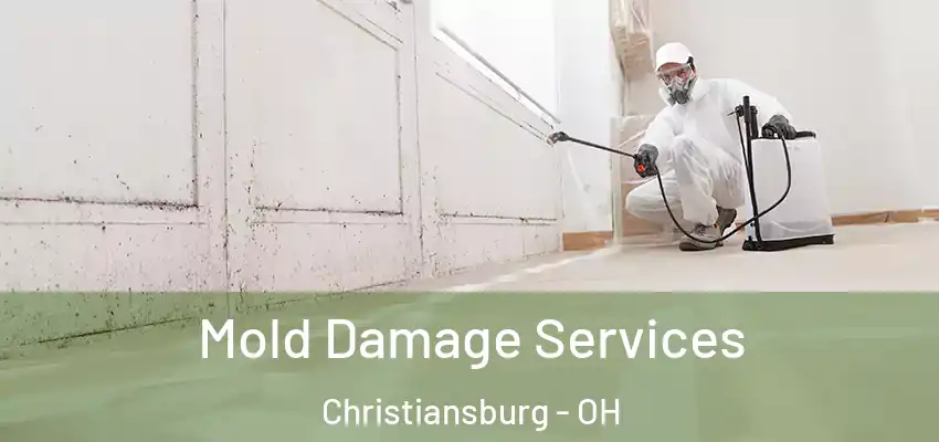 Mold Damage Services Christiansburg - OH