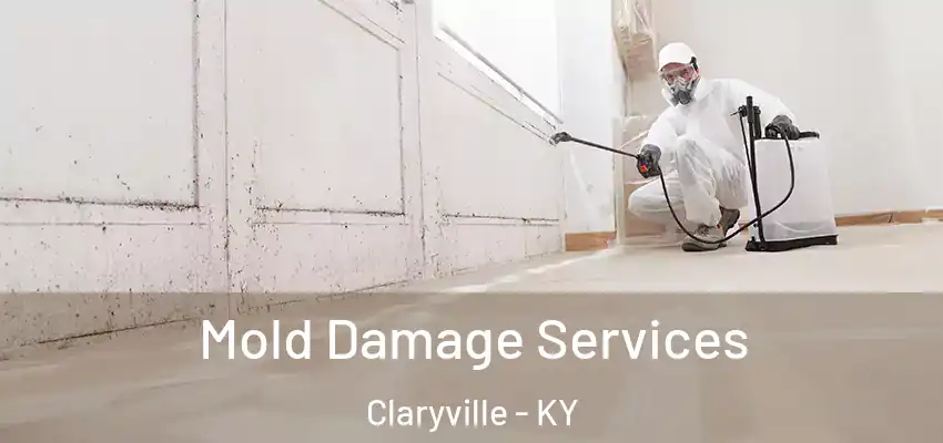  Mold Damage Services Claryville - KY