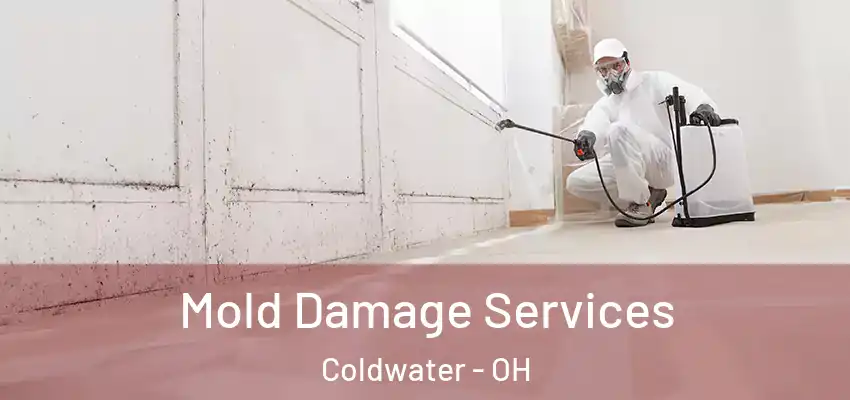  Mold Damage Services Coldwater - OH