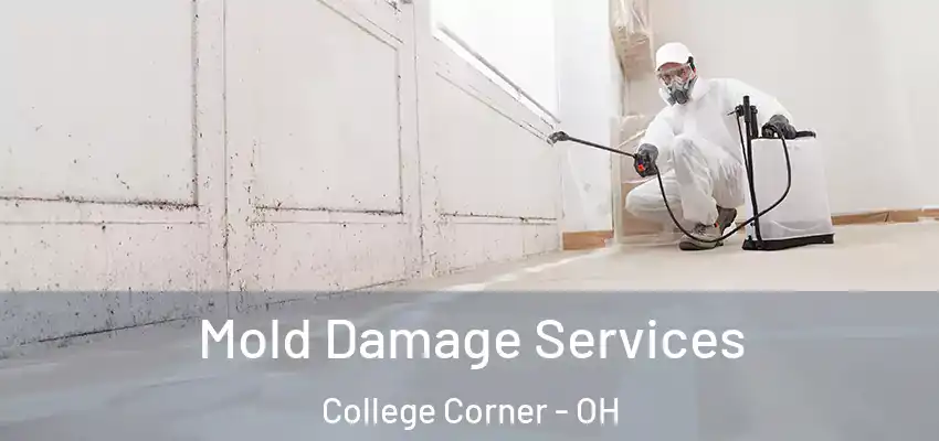 Mold Damage Services College Corner - OH