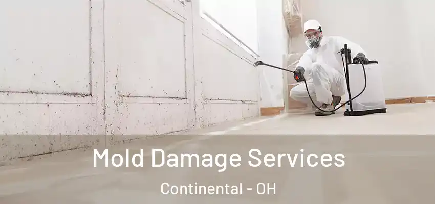  Mold Damage Services Continental - OH