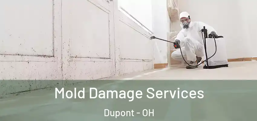 Mold Damage Services Dupont - OH