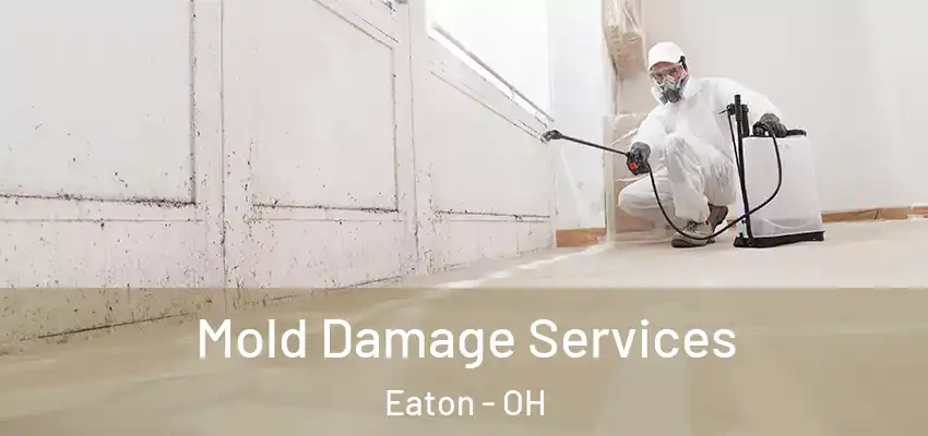 Mold Damage Services Eaton - OH