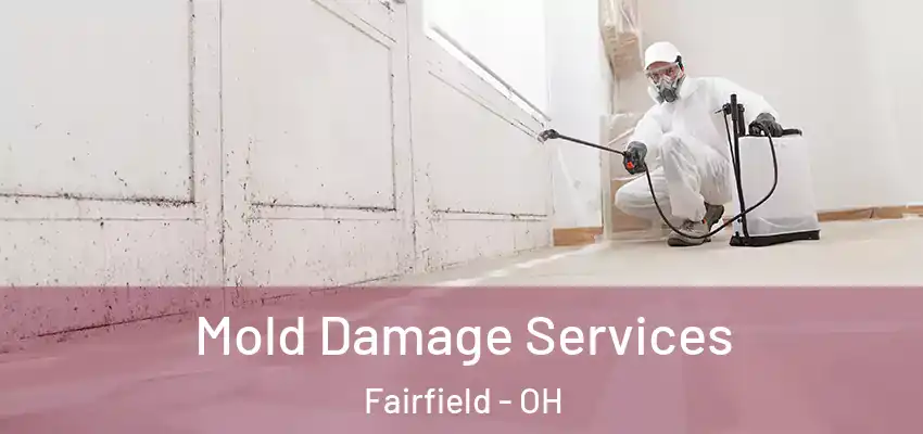 Mold Damage Services Fairfield - OH
