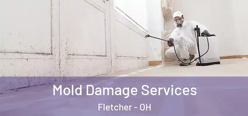  Mold Damage Services Fletcher - OH