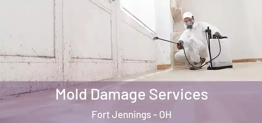  Mold Damage Services Fort Jennings - OH
