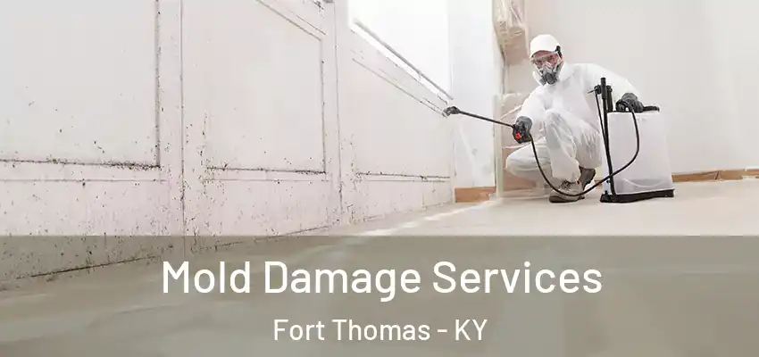  Mold Damage Services Fort Thomas - KY