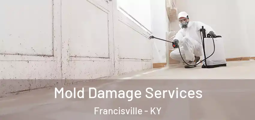  Mold Damage Services Francisville - KY