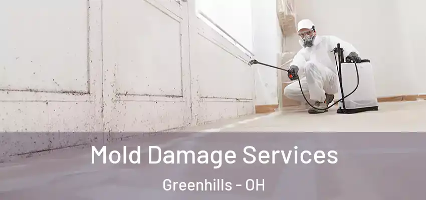  Mold Damage Services Greenhills - OH