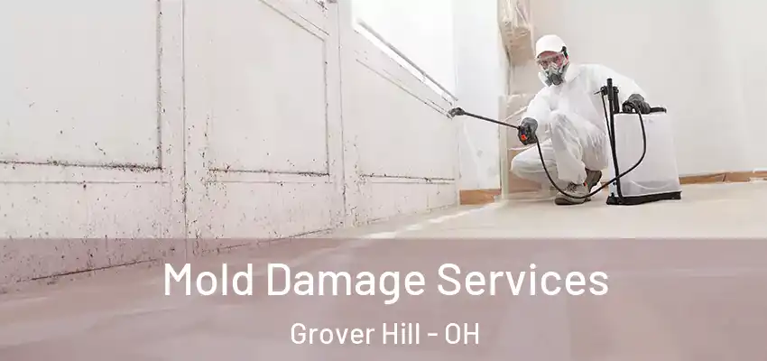  Mold Damage Services Grover Hill - OH