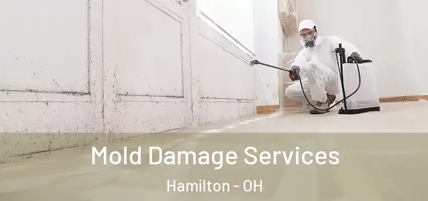  Mold Damage Services Hamilton - OH