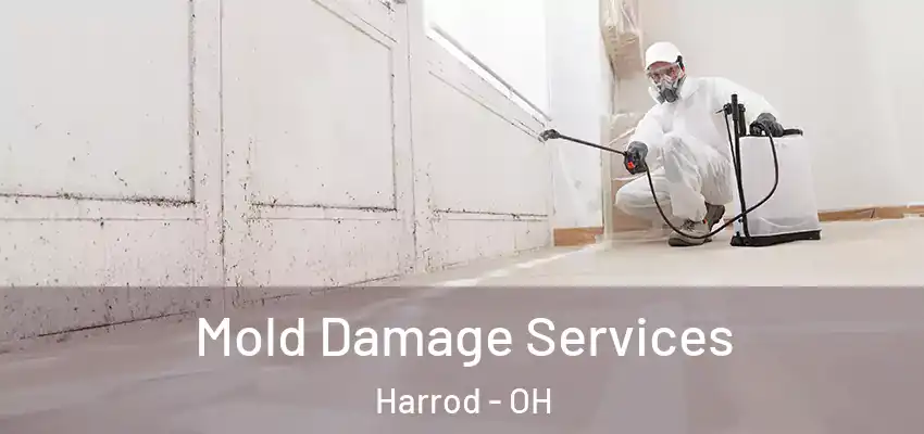 Mold Damage Services Harrod - OH