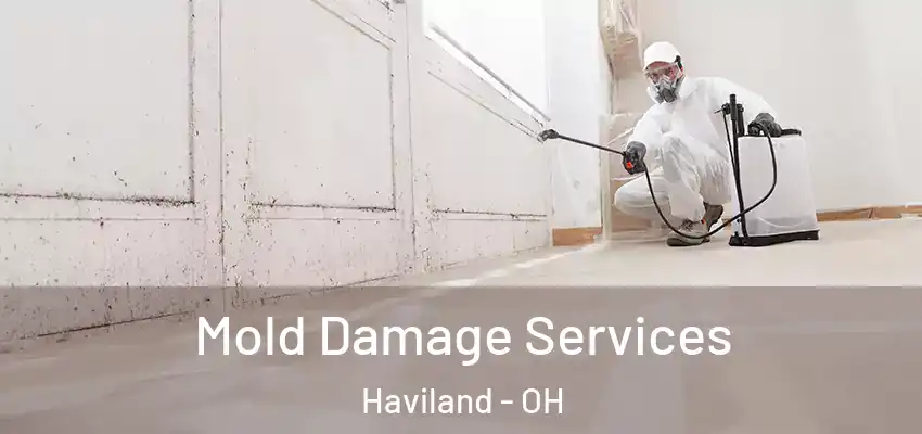  Mold Damage Services Haviland - OH