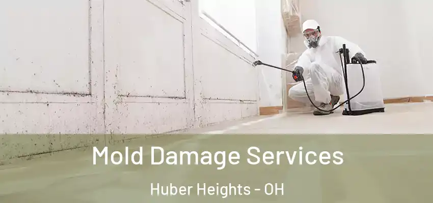  Mold Damage Services Huber Heights - OH