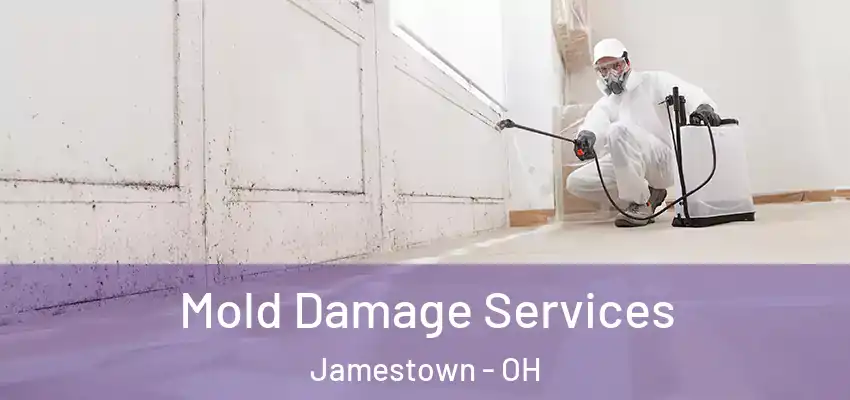  Mold Damage Services Jamestown - OH