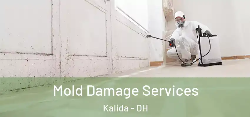 Mold Damage Services Kalida - OH