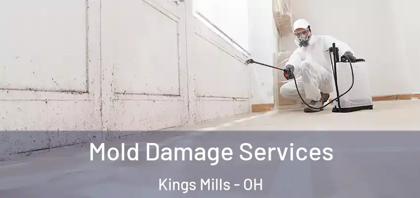 Mold Damage Services Kings Mills - OH