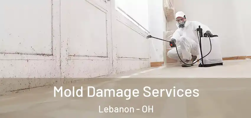  Mold Damage Services Lebanon - OH