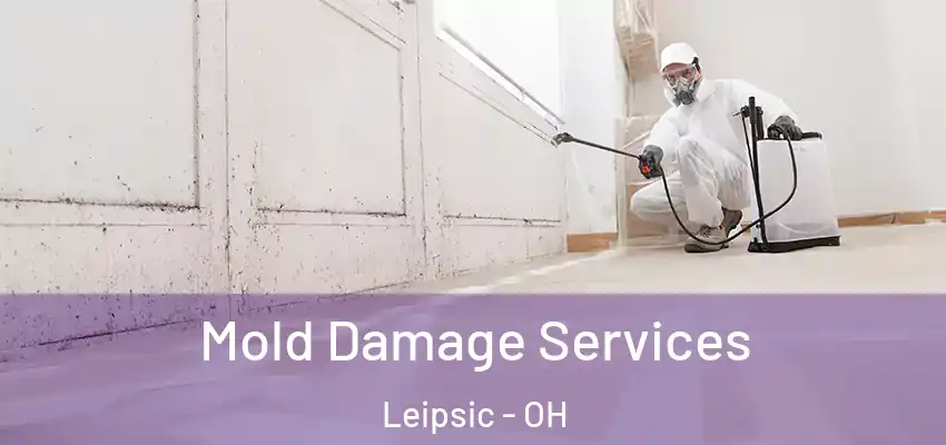 Mold Damage Services Leipsic - OH