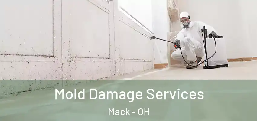  Mold Damage Services Mack - OH