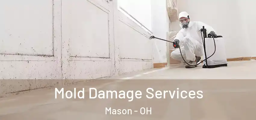  Mold Damage Services Mason - OH