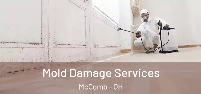 Mold Damage Services McComb - OH