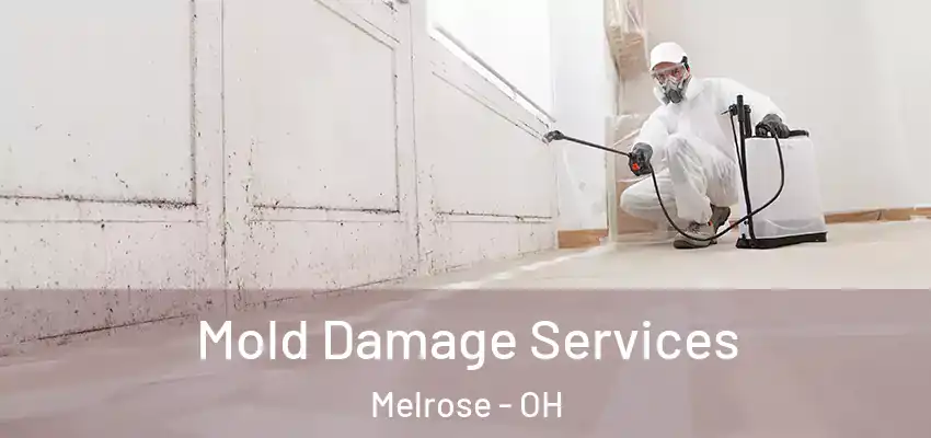 Mold Damage Services Melrose - OH