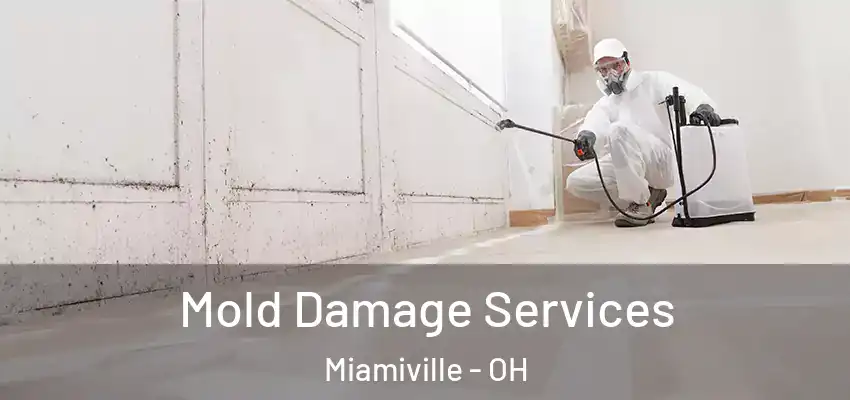 Mold Damage Services Miamiville - OH