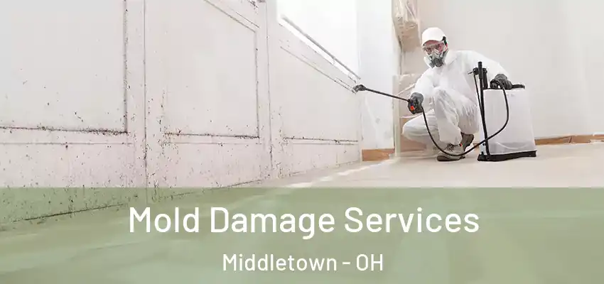  Mold Damage Services Middletown - OH